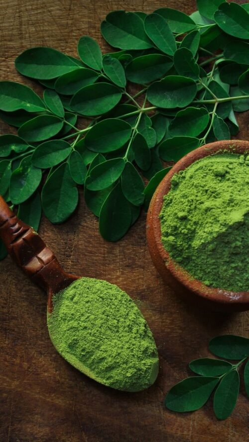 11 health benefits of moringa, eaten fresh, roasted or as powder Moringa Sattu -250gm