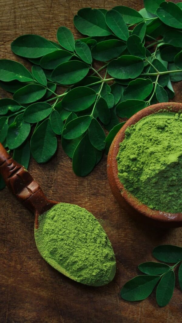 Moringa Sattu -250gm