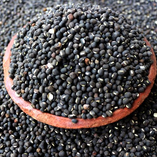 Whole Black Urad Dal (Makhni Dal, 500gm)
