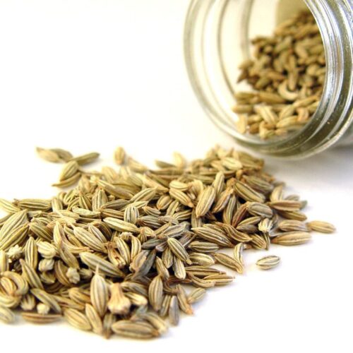 Fennel Seed Essential Oil _ Moksha Lifestyle Products Rajasthani Saunf Without Color (100 Gms)