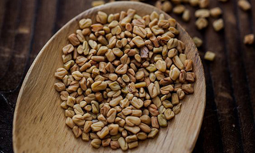 Methi Dana-100g
