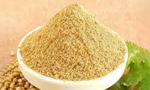 Coriander Powder --200Gm