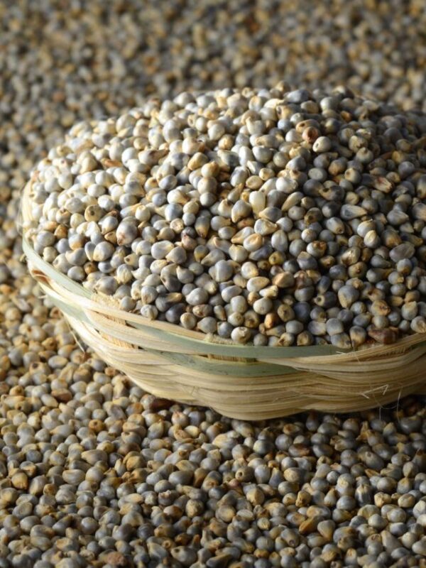 Whole Bajra (Pearl Millet) 1Kg