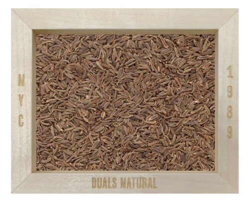 Shahi Jeera - 46 GRAMS Premium Sahi Jeera 100 Gm