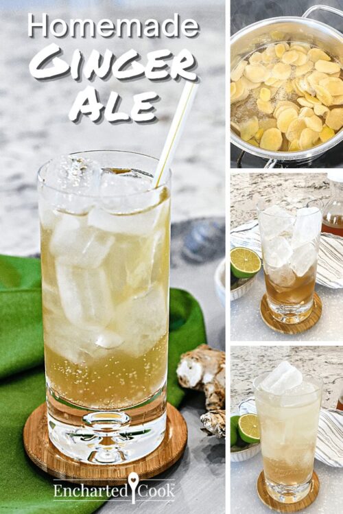 Sweet and spicy Homemade Ginger Ale is refreshing and can be made as sweet as you like_ Step-by-step instructions are included in this easy-to-make recipe_ Lemon gingerale - 250ml -no color, preservatives