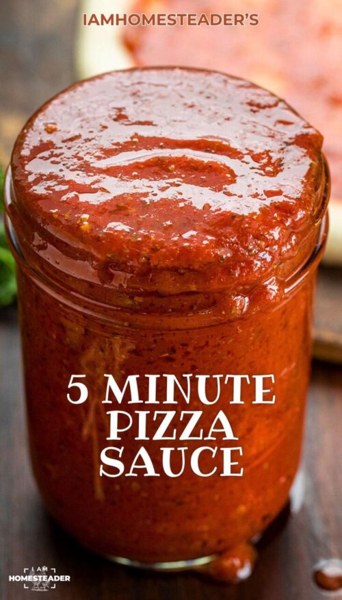 Pizza Pasta Sauce - 350gm