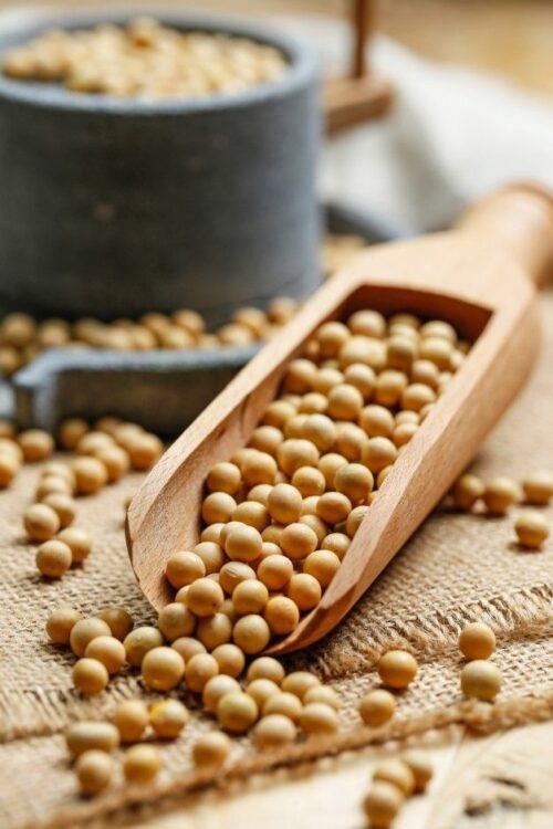 White Pea - Matar - 500Gm