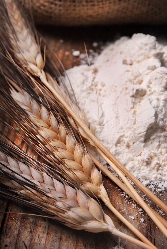 Jaivik Wheat Flour – Stone-Ground & Nutrient-Rich - 3kg