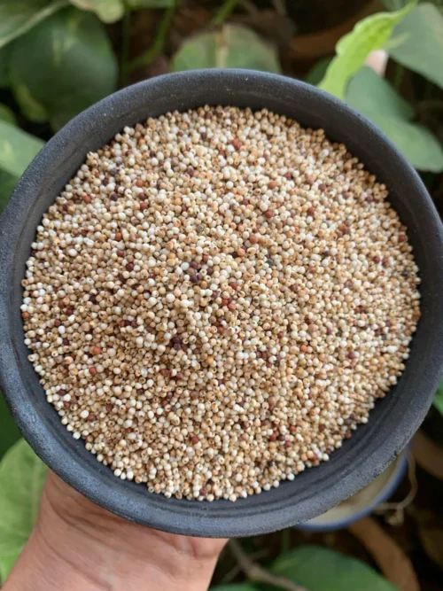 Whole Ragi (500Gm)