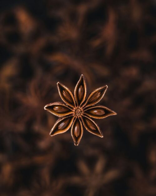 Star Anise/ Chakri Phool- 100Gm - import from srilanka
