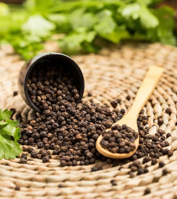 Black Pepper (Waynard)